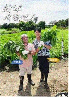声临其境 音乐综艺